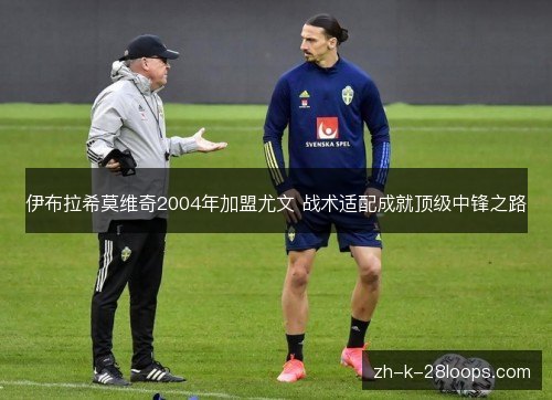 伊布拉希莫维奇2004年加盟尤文 战术适配成就顶级中锋之路 伊布拉希莫维奇2004年加盟尤文 战术适配成就顶级中锋之路